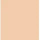 SECOND SKIN MESH CUSHION FOUNDATION SPF 50 PA+++